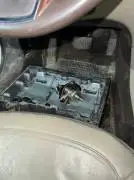 شفر ماليبو 2013, دمشق, RF54064699