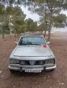 Peugeot 504, RF18124056