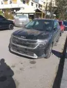 كيا سيلتوس 2024, دمشق, RF12387264