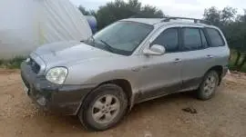 هيونداي سنتافي 2004, RF10171209