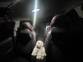 Ford Fortuner 2013, Daraa, RF19354418