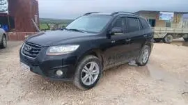 سي ام 2010, RF32961234