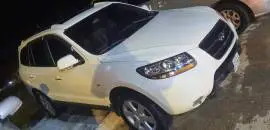 سي ام كرت 2009, حماة, RF15668919