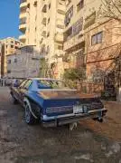 بيوك ريجال 1976, دمشق, RF1063291