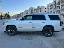 كاديلاك إسكاليد 2015, حلب, RF19952498