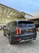 Hyundai Palisade 2022, RF37226573