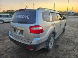 موهافي 2009, إدلب, RF60507744