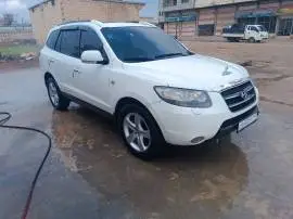 CM 2008, Aleppo, RF20921864