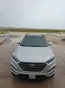2016 Tucson, Aleppo, RF14634440