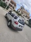 موهافي 2008, حماة, RF58790971