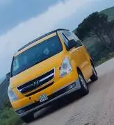 Hyundai H1 2010, Damascus, RF24011225