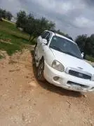 هيونداي سنتافي 2003, دمشق, RF12699715