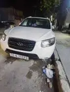 سي ام 2008, حلب, RF88338550