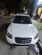 CM 2008, Aleppo, RF88338550