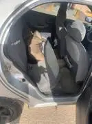 دايو 2003, حماة, RF16641732