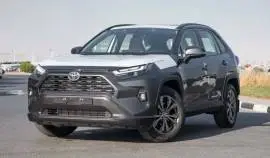 Toyota RAV4 2025, RF98691736