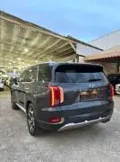 Hyundai Palisade 2022, RF60291704