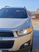 شفر كابتيفا 2012, حلب, RF15788643