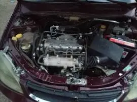 تاتا 2009, دمشق, RF19705456