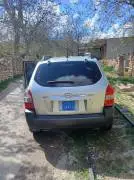 توسان 2006, دمشق, RF48042103