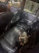 فيات 84, دمشق, RF14088833