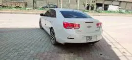 شفر كروز 2015, RF15187390