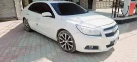 شفر كروز 2015, RF15187390