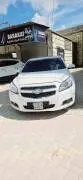 شفر كروز 2015, RF15187390