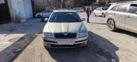 Skoda Elegance 2008, RF21428420