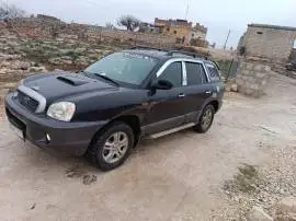 Hyundai Tucson 2003, RF11499833