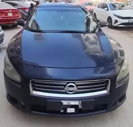 نيسان مكسيما 2014, دمشق, RF18606806