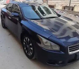 نيسان مكسيما 2014, RF19507427