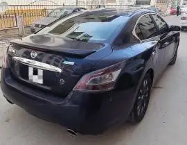 نيسان مكسيما 2014, RF19507427