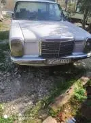 مارسيدس أموره 2010, RF36781104