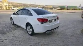 شفر كروز 2011, RF92791518