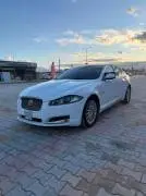 Jaguar 2014, Daraa, RF19184719