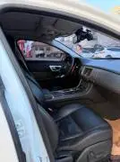 Jaguar 2014, Daraa, RF19324426