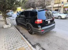 موهافي 2011, حماة, RF18760741