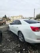 شفر مالبو 2016, دمشق, RF18740532