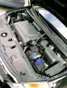كيا كرنفال 2011, دمشق, RF81577097