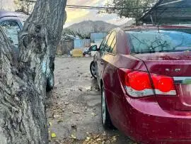 شفر كروز 2010 للبيع, RF18135367