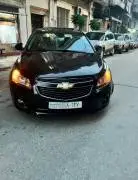 شفر كروز 2011, RF48083427