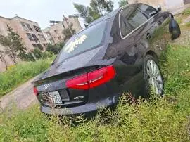 اودي A4 2015, حلب, RF19626019