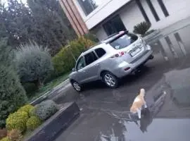 Hyundai Santa Fe 2006, RF12096387