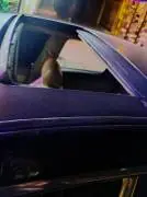 هيونداي ازيرا 2006, دمشق, RF19986243