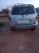 Hyundai Santa Fe 2005, RF68811201