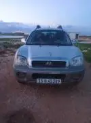 Hyundai Santa Fe 2005, RF68811201