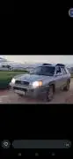 Hyundai Santa Fe 2005, RF68811201