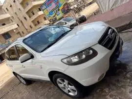 CM 2008, RF29704825