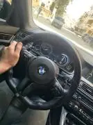 BMW 520 Model 2012, RF51771239
